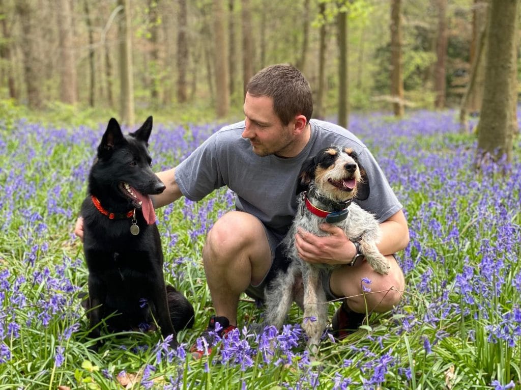 Dog training in london best prices