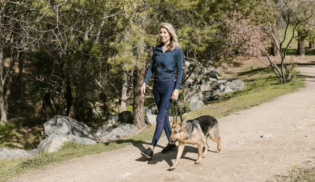 Choosing the Perfect Dog Walker: Factors to Consider and Questions to Ask