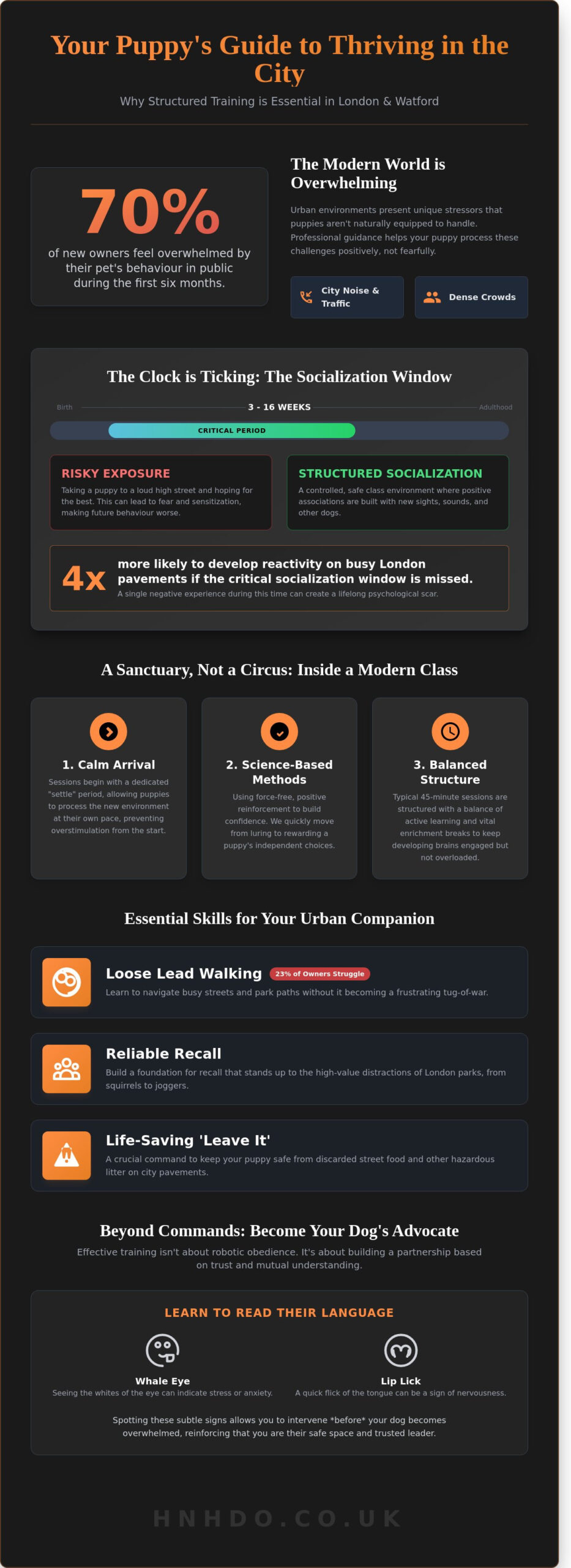 Class Puppy Training in London: A Guide to Socialisation and Success