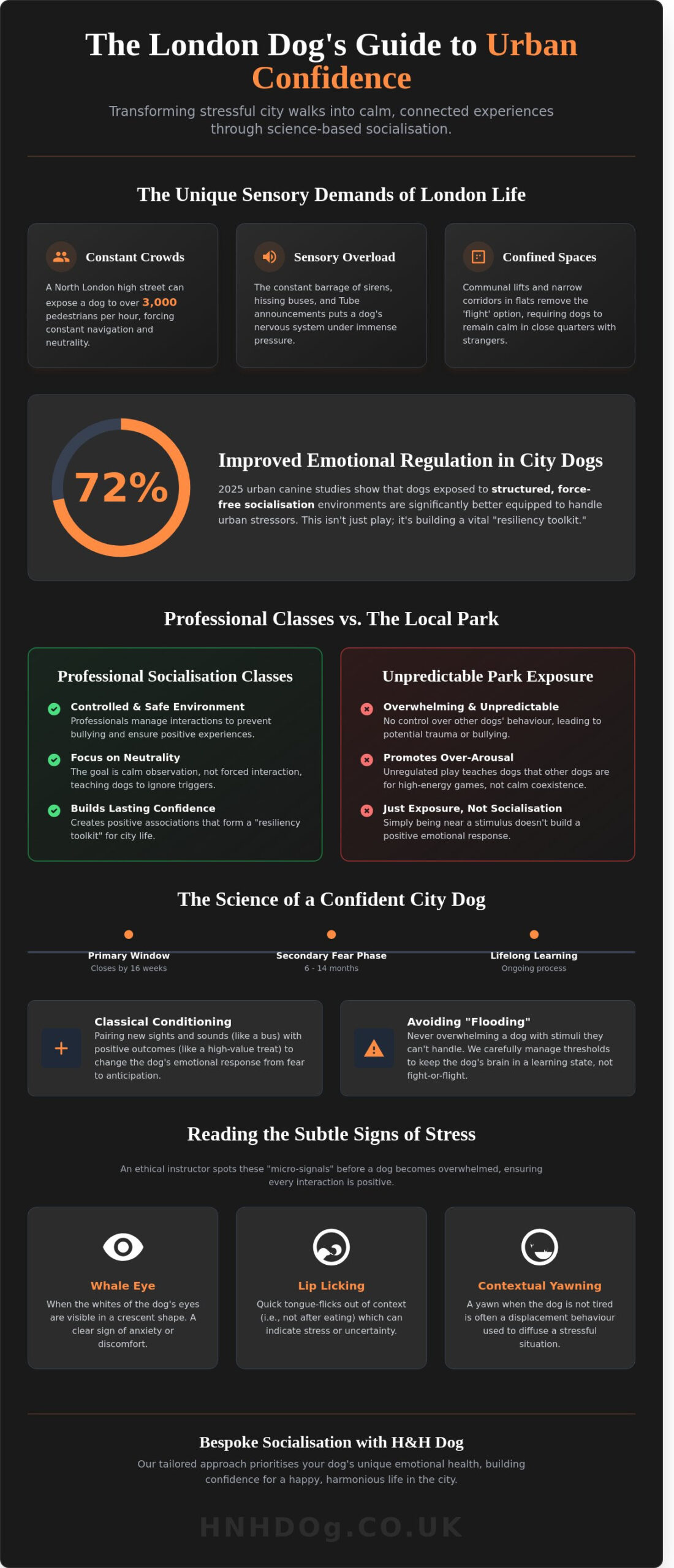 Dog Socialisation Classes in London: The Complete 2026 Guide to Raising a Confident City Dog
