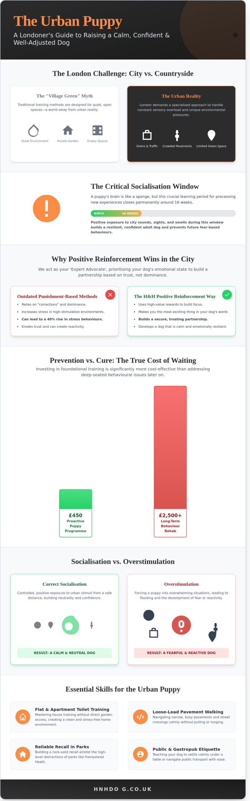 Puppy Training in London: The Complete Guide to Raising an Urban Dog