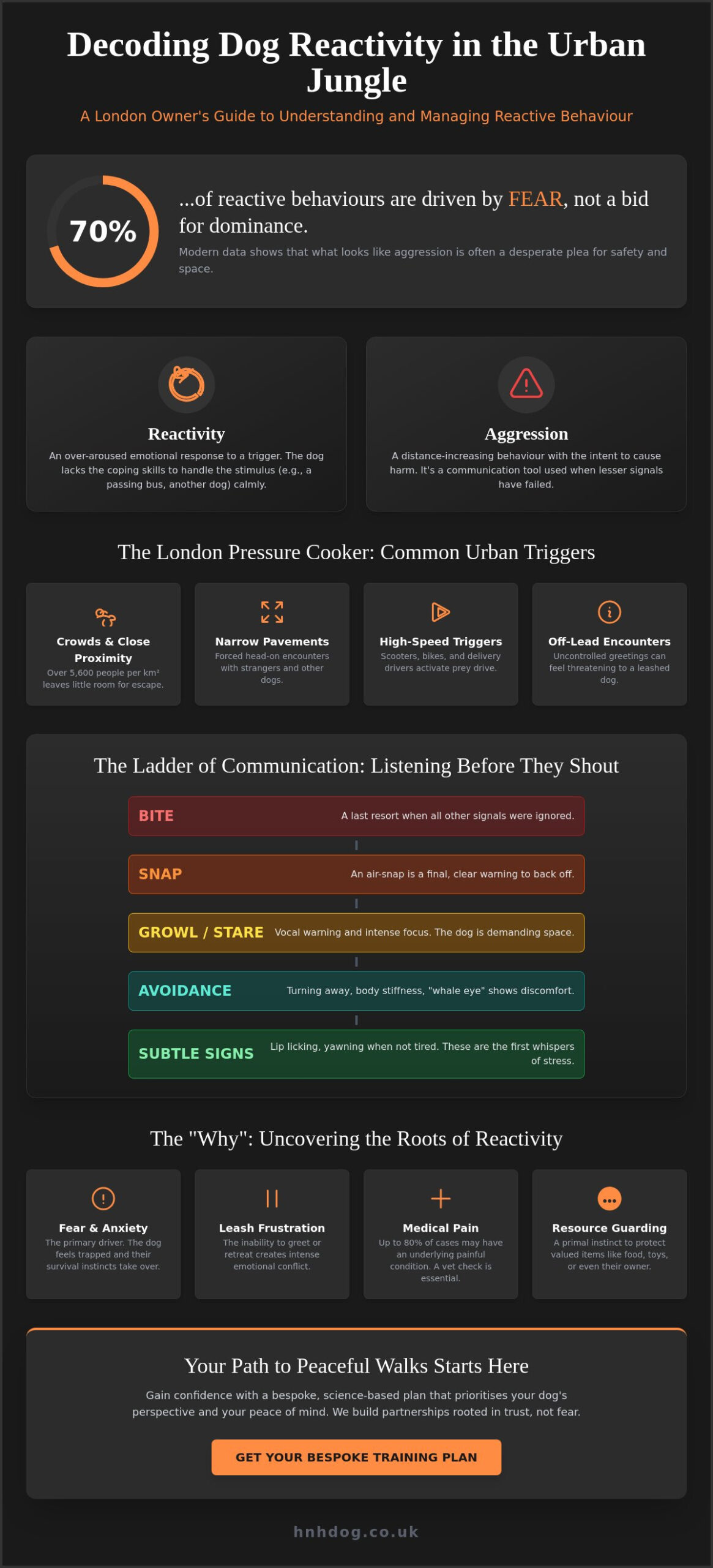 Aggressive Dog Training Near Me: A London Owner's Guide to Positive Change