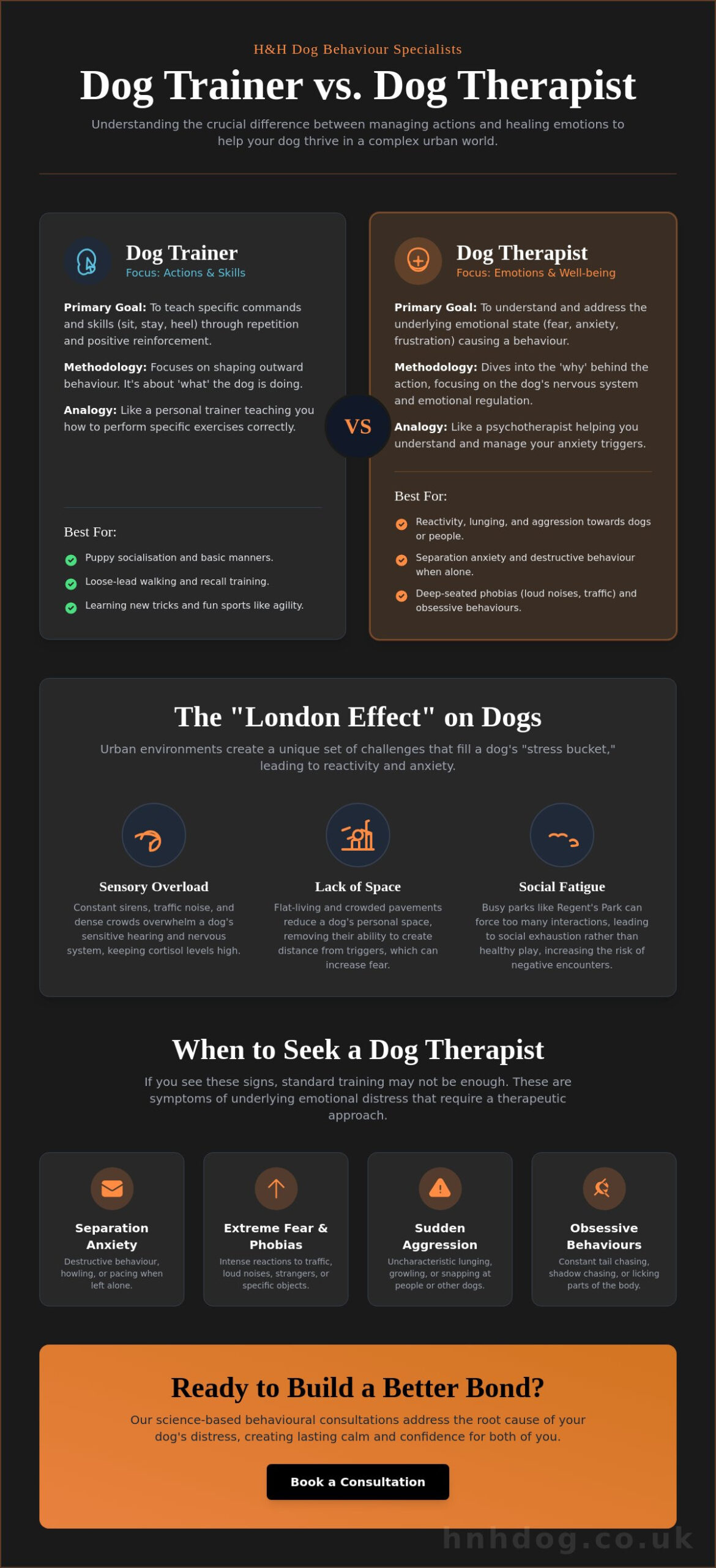 Dog Therapist in London: A Guide to Professional Behavioural Support