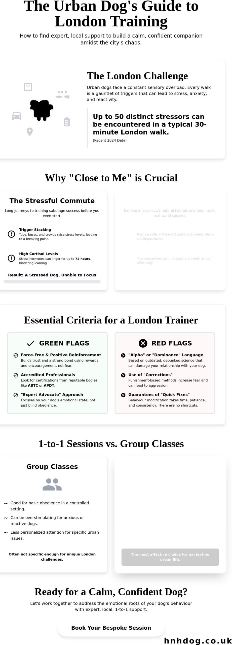 Dog Training Close to Me: Finding Expert Support in London (2026)