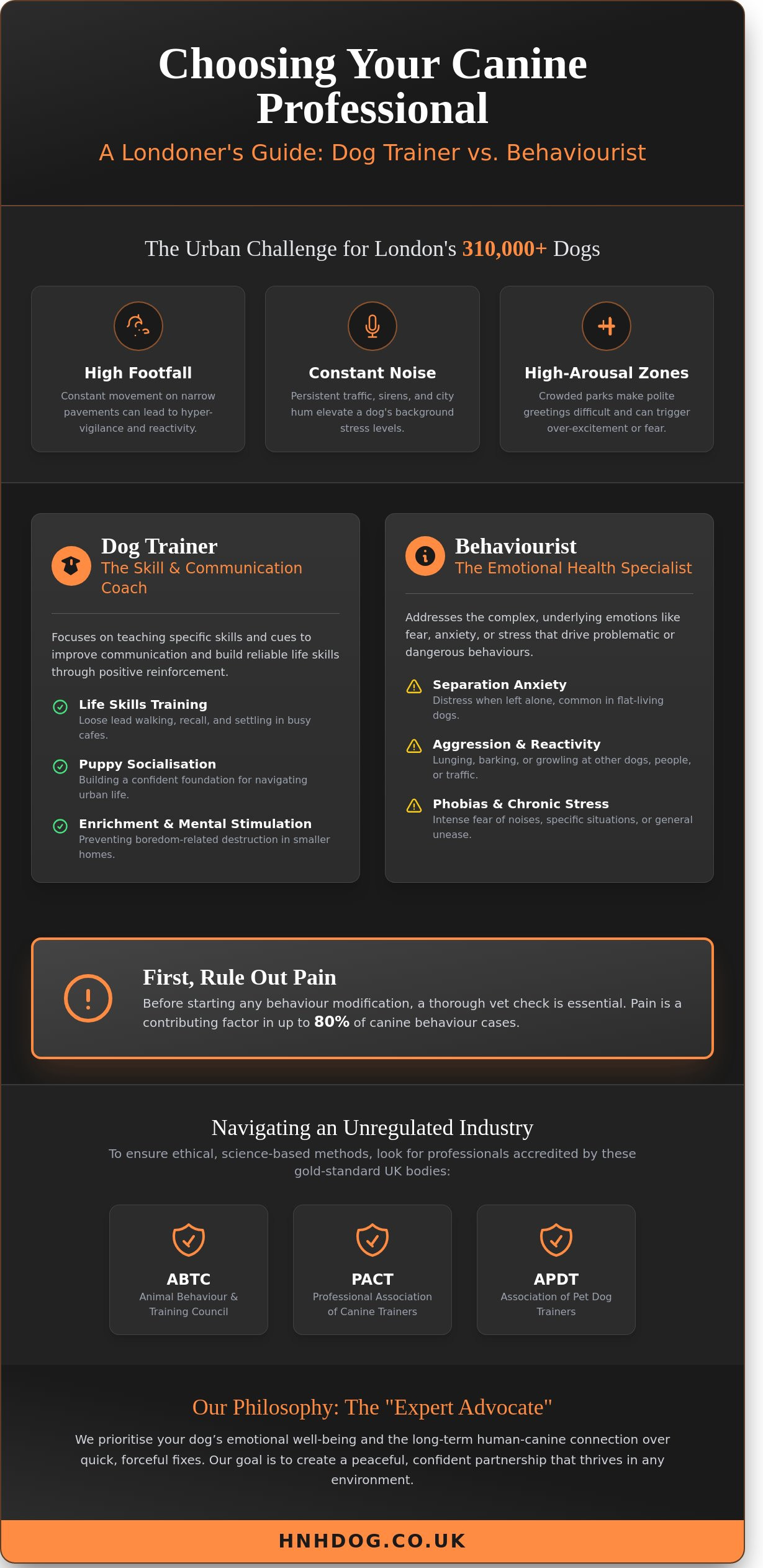 Professional Dog Trainer in London: A Guide to Finding the Right Support