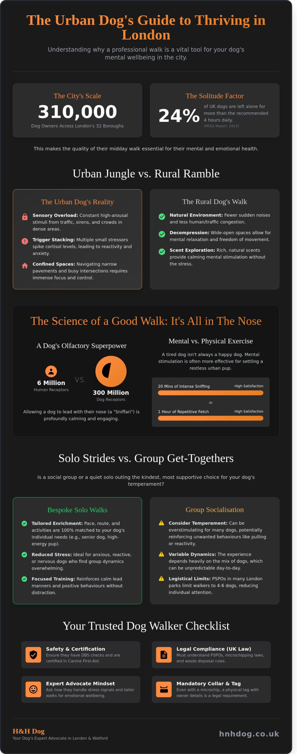 Professional Dog Walking in London: The Ultimate Guide for Urban Pups