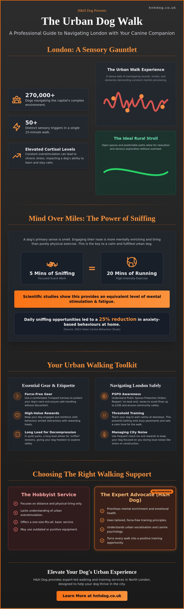 The Expert Guide to the Perfect London Dog Walk: Balancing Exercise and Enrichment