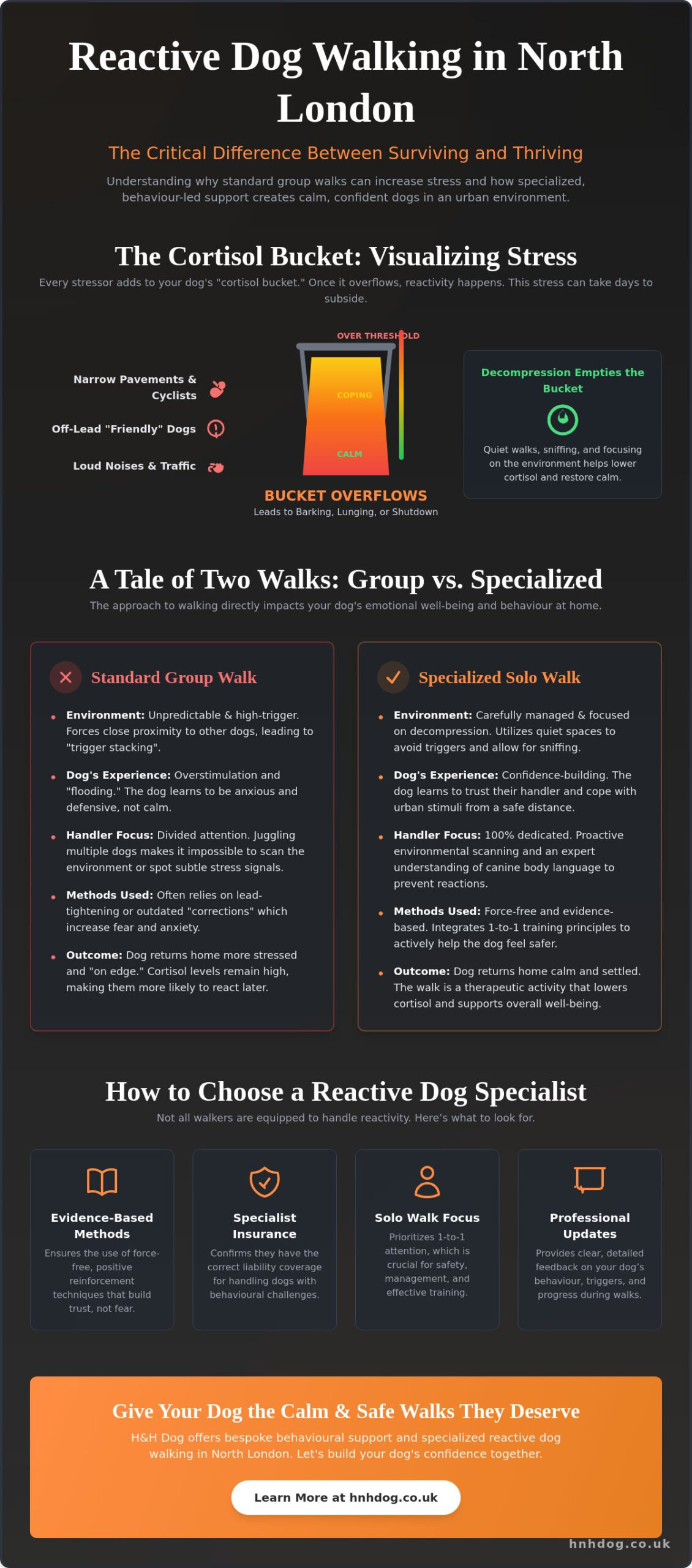 Expert Dog Walker for Reactive Dogs in North London: A Stress-Free Approach
