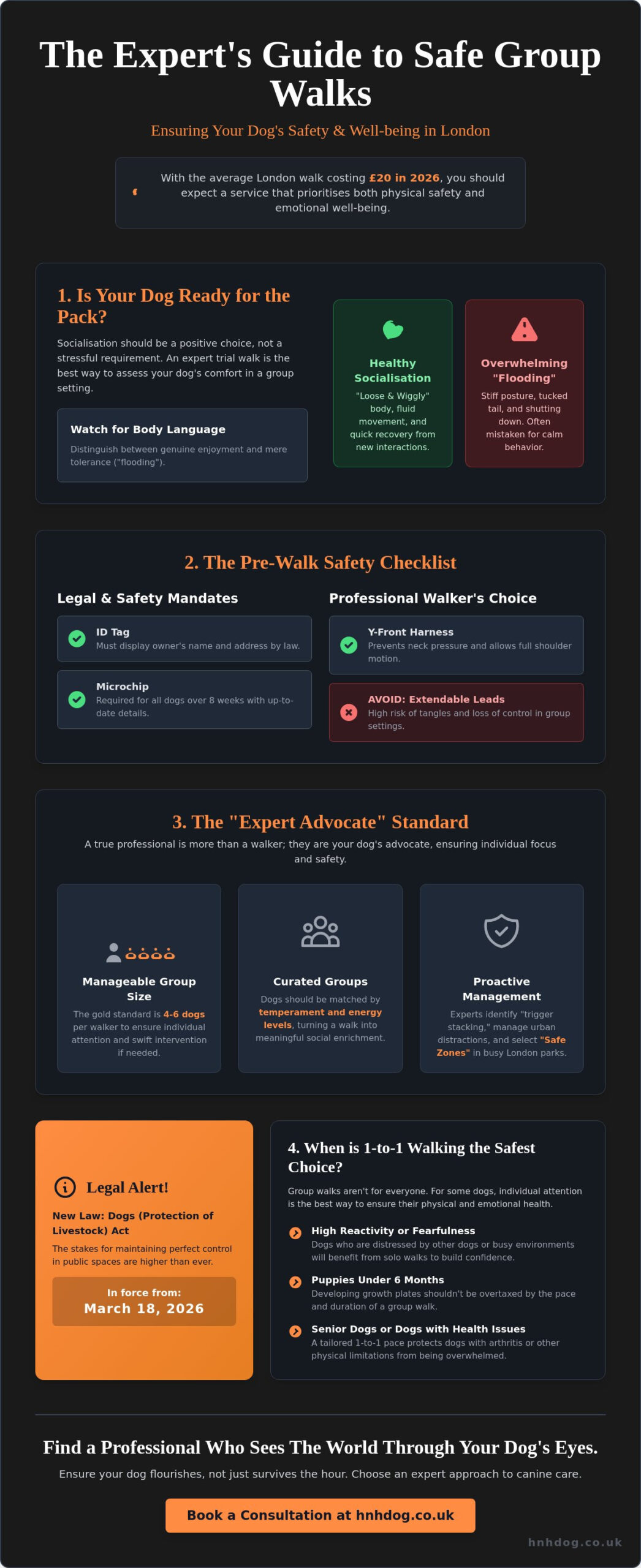 Keeping My Dog Safe on Group Walks: The Ultimate 2026 Safety Checklist