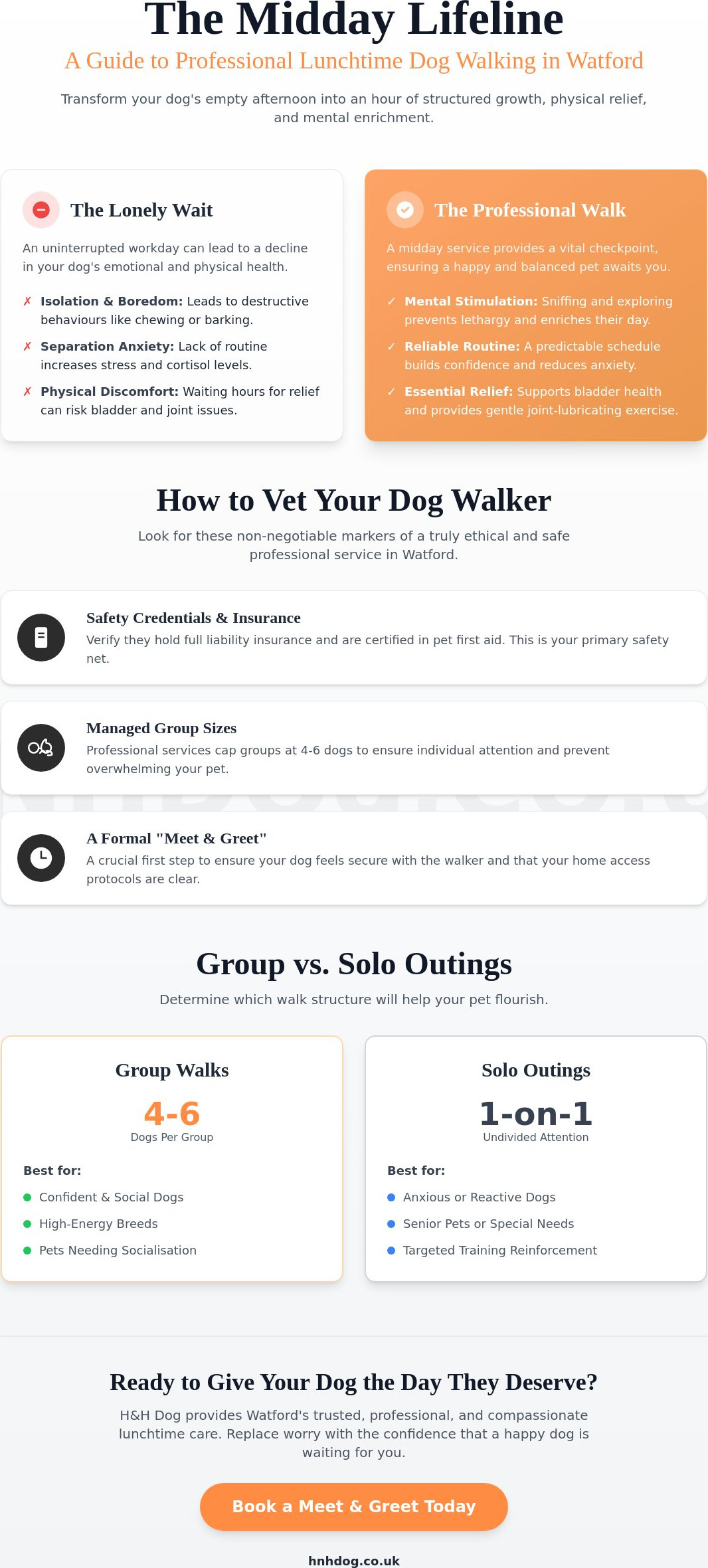 Lunchtime Dog Walking Service in Watford: The Essential Guide for Busy Owners