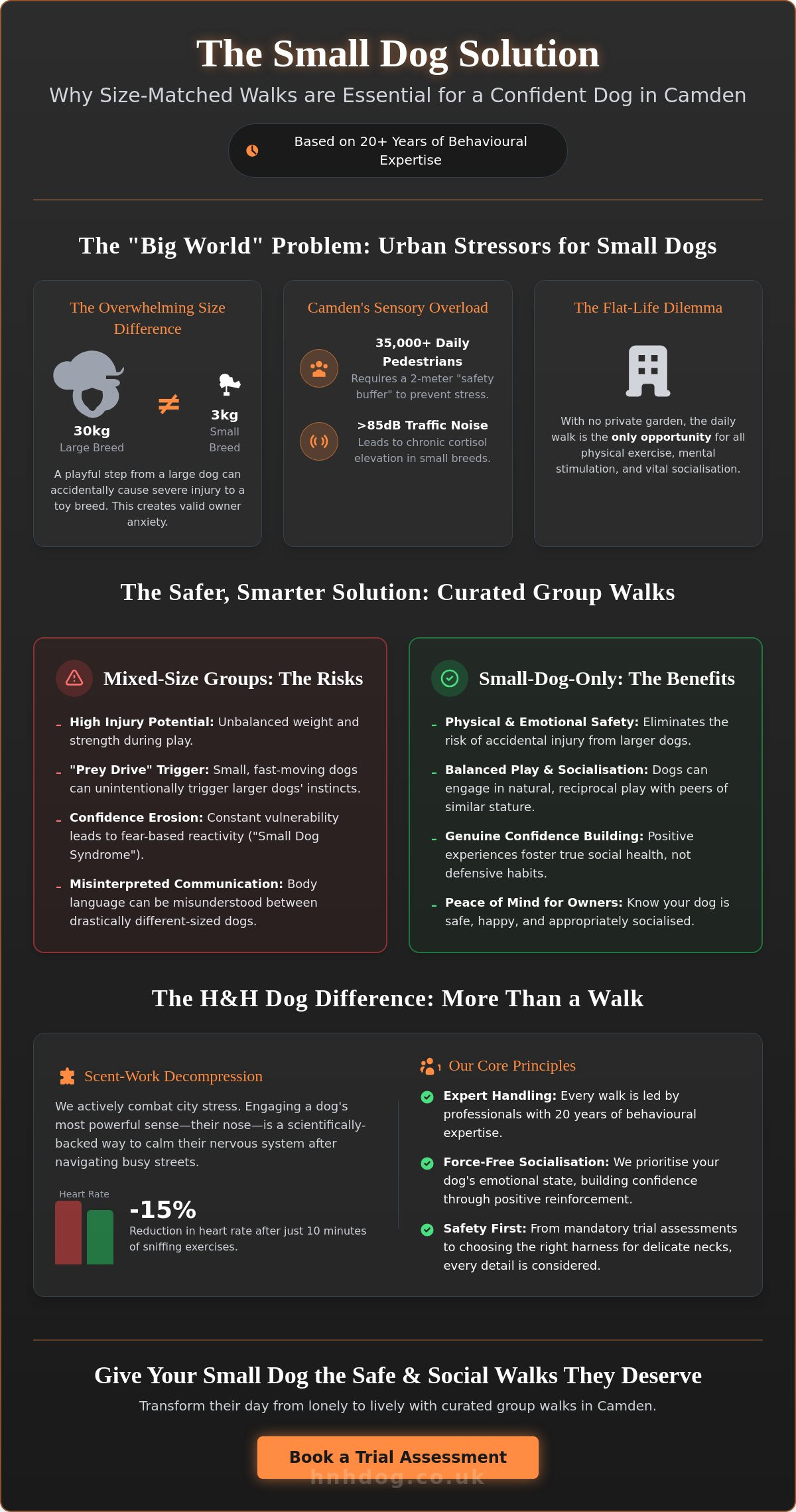 Small Dog Group Walks in Camden: The Ultimate Guide to Safe Urban Socialisation