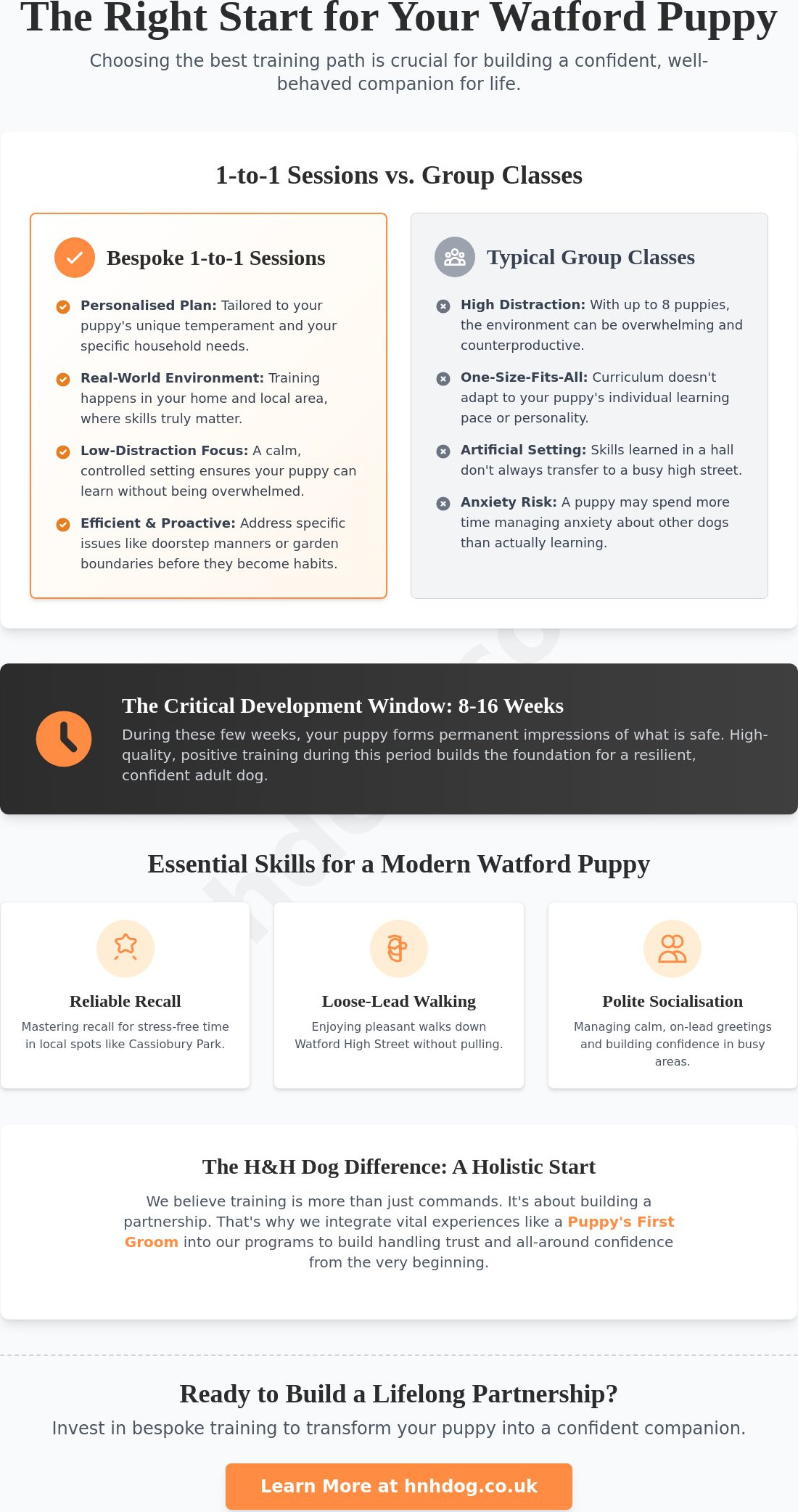 Expert Puppy Training in Watford: Building a Lifetime Bond