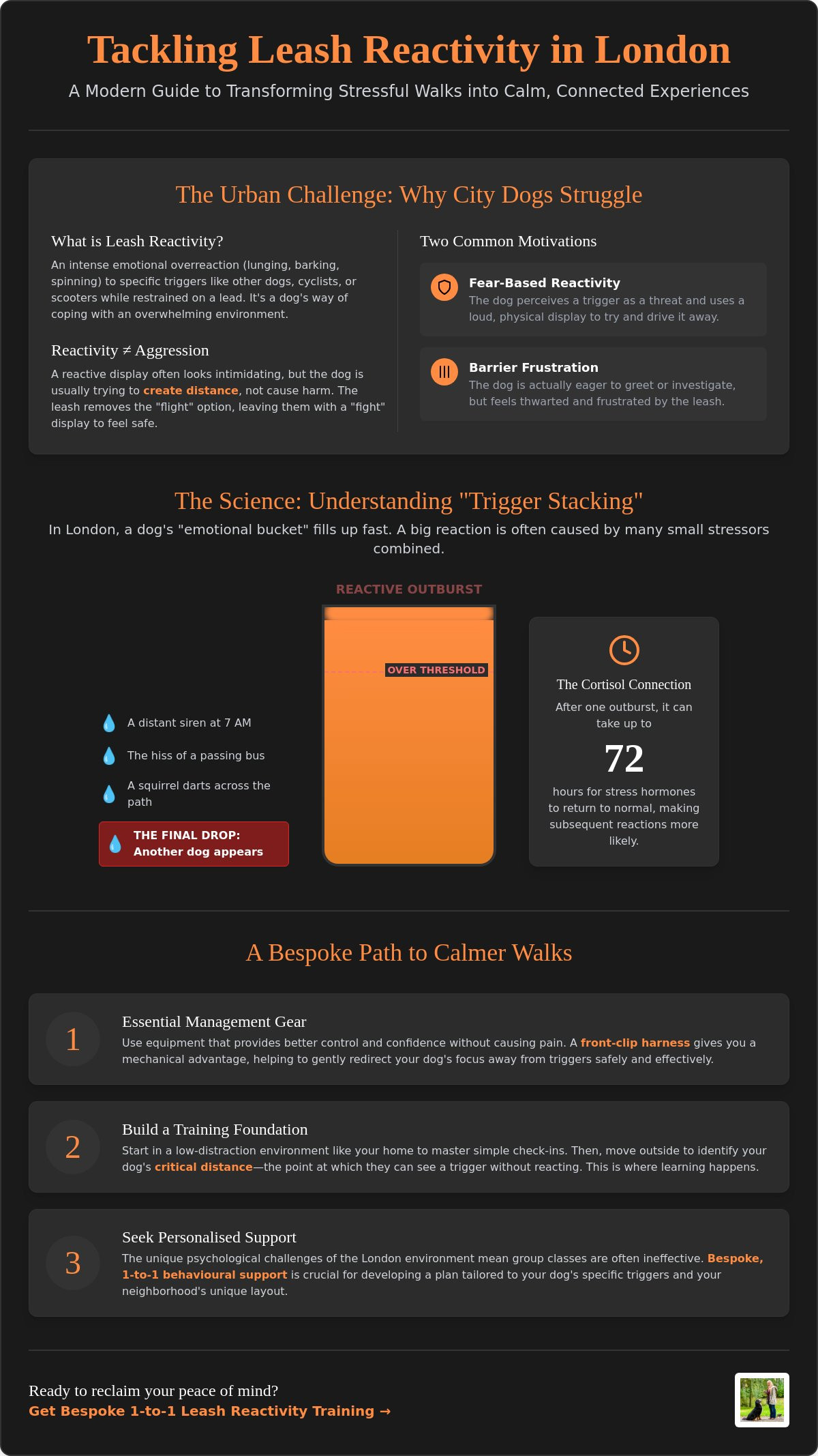 Leash Reactivity Training London: A Guide to Calm Urban Walks