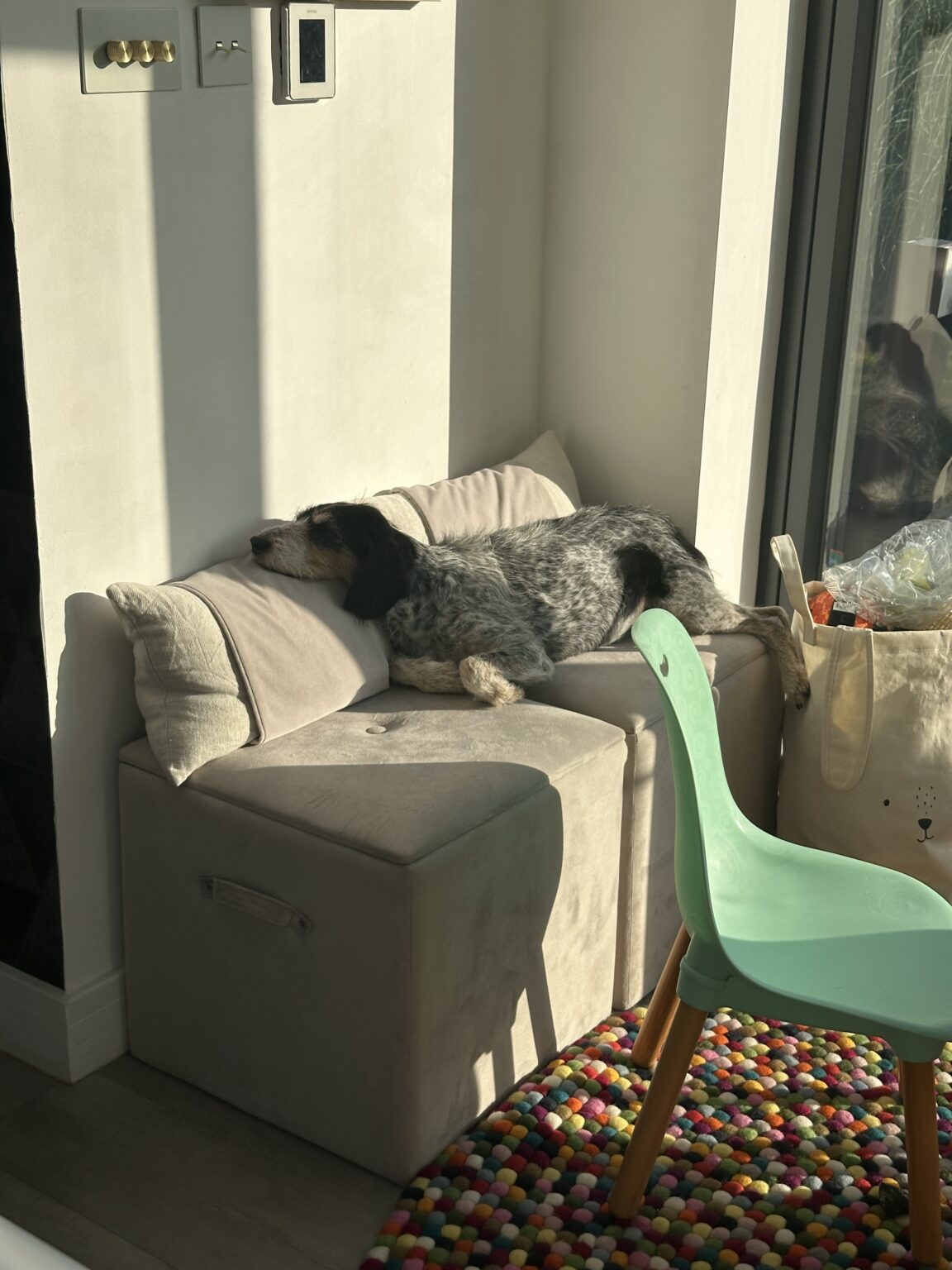 Friendly and award winning dog training by H&H Dog Training Services in Watford and North London. Experts in Dog Training, Dog Walking & Dog Grooming Services