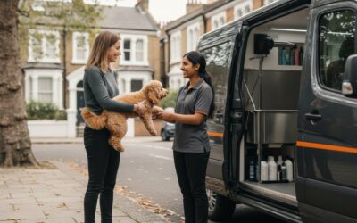 How Much Does Mobile Dog Grooming Cost in London? 2026 Price Guide