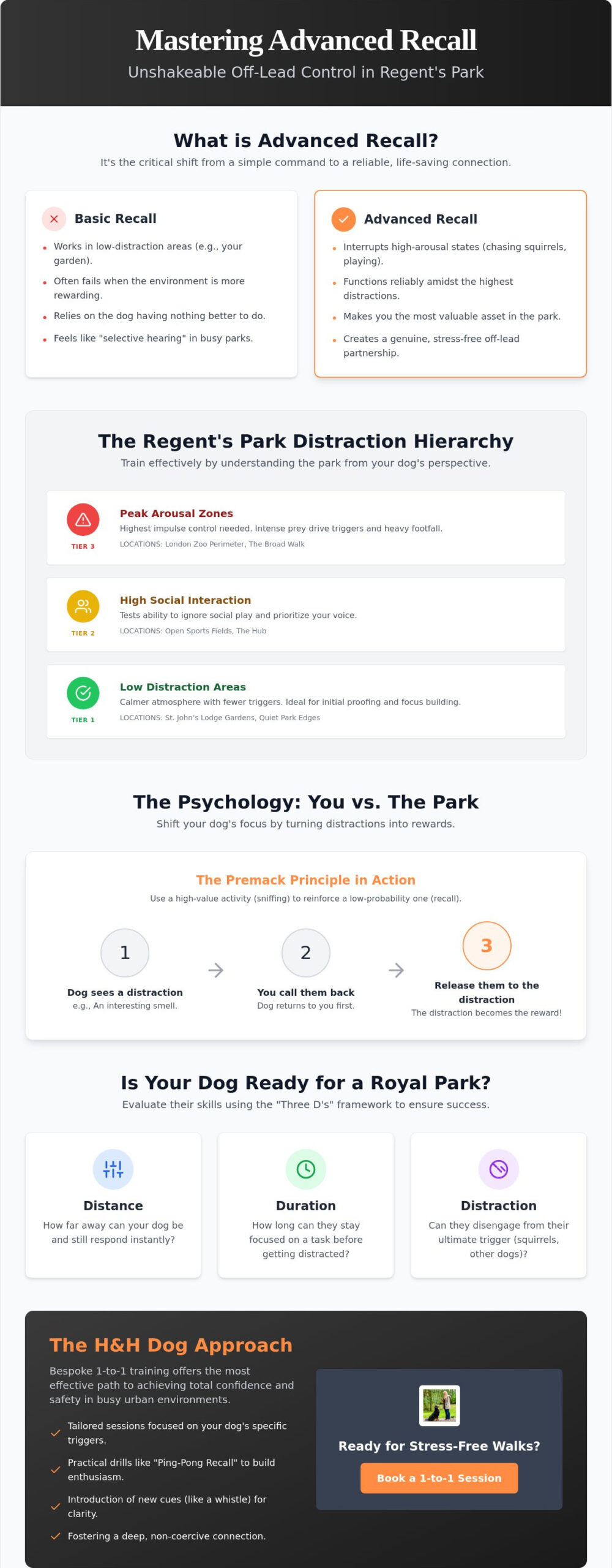 Mastering Advanced Recall Training in Regent’s Park: A Professional Guide