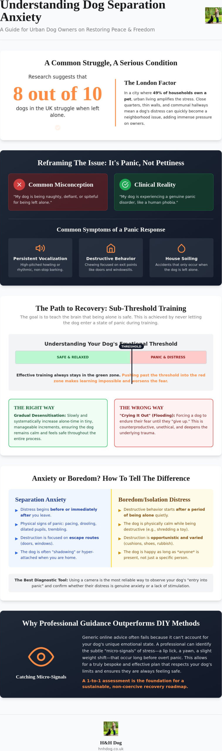 Dog Separation Anxiety Training in London: A Compassionate Guide to Helping Your Dog Feel Safe Alone