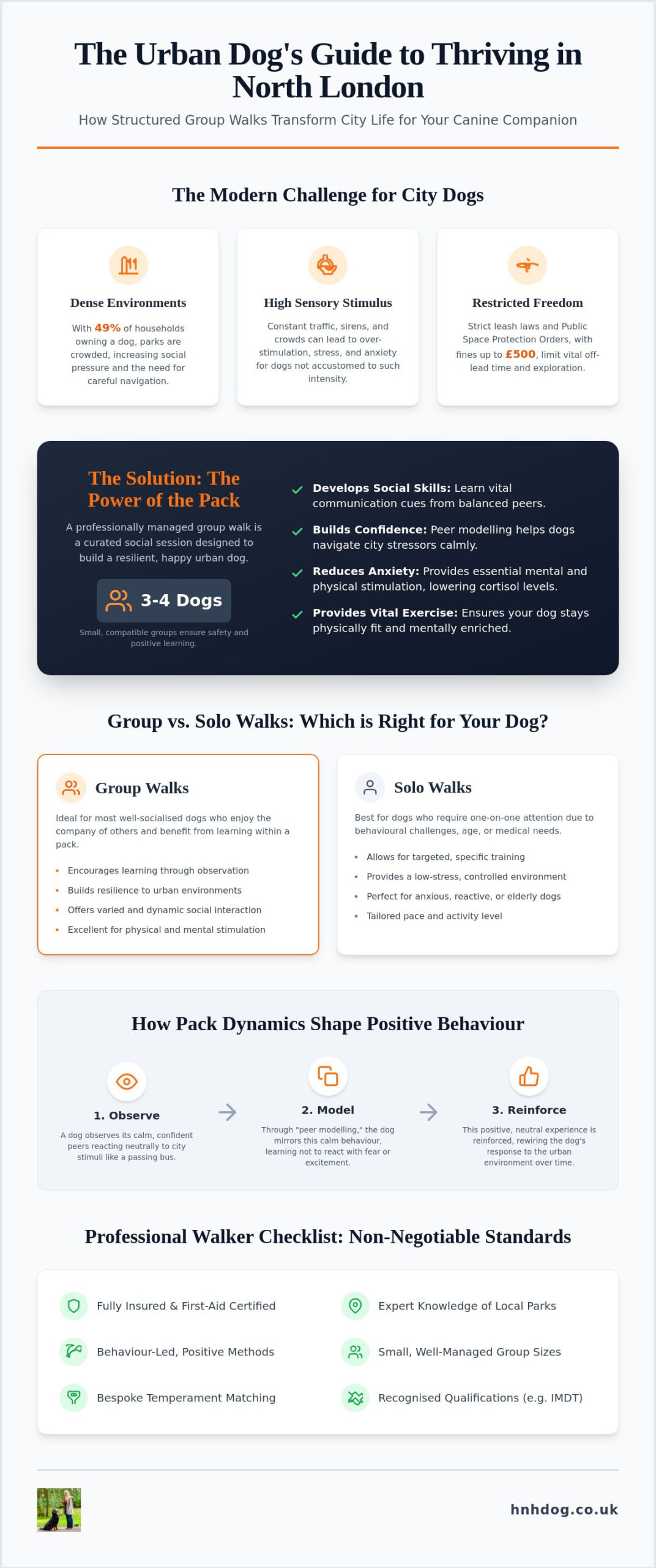 The Benefits of Group Dog Walking in North London: A Socialisation Guide