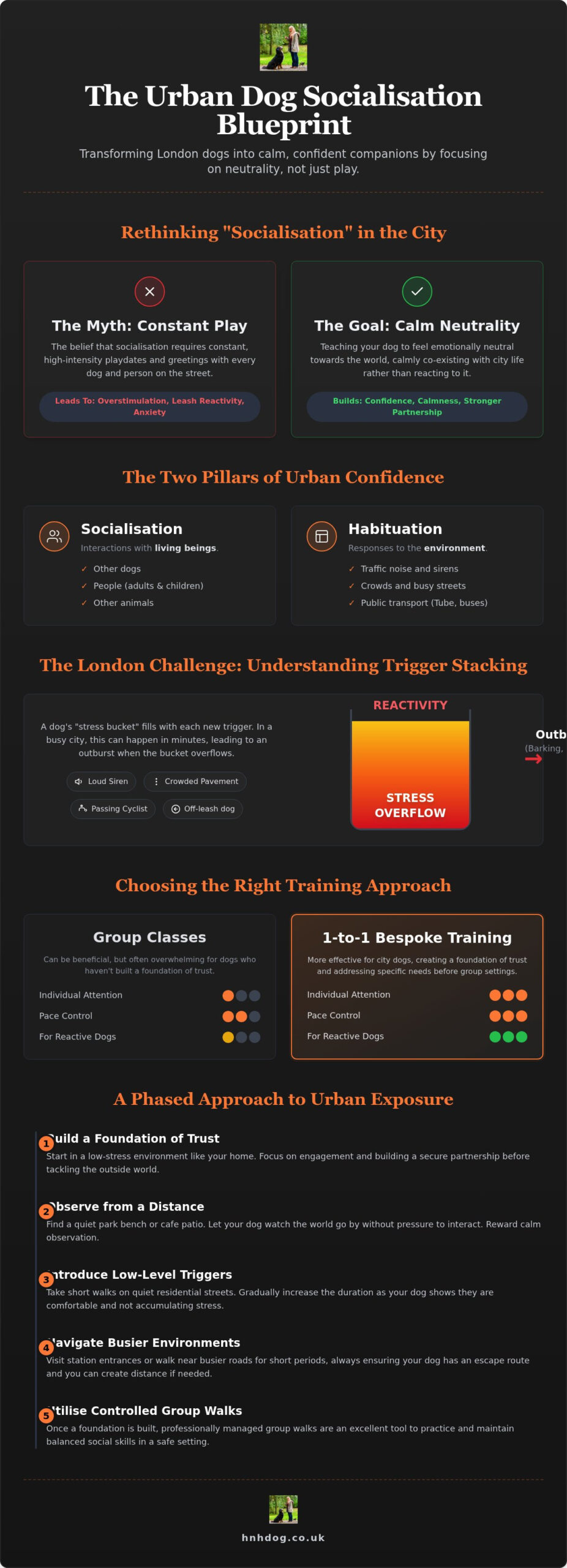 Dog Socialisation in London: Building City Confidence