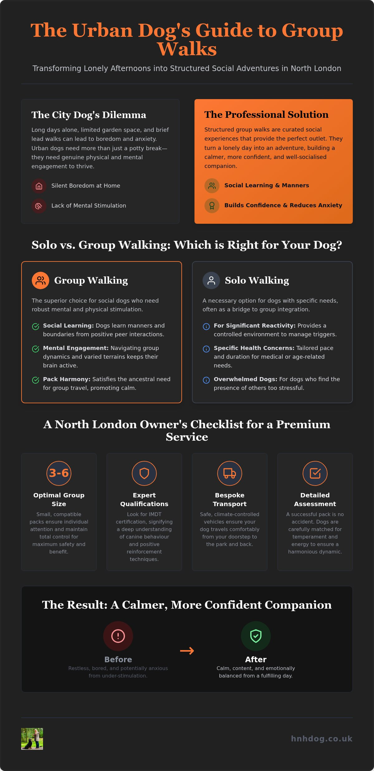 Group Dog Walking in North London: A Guide to Socialisation and Exercise