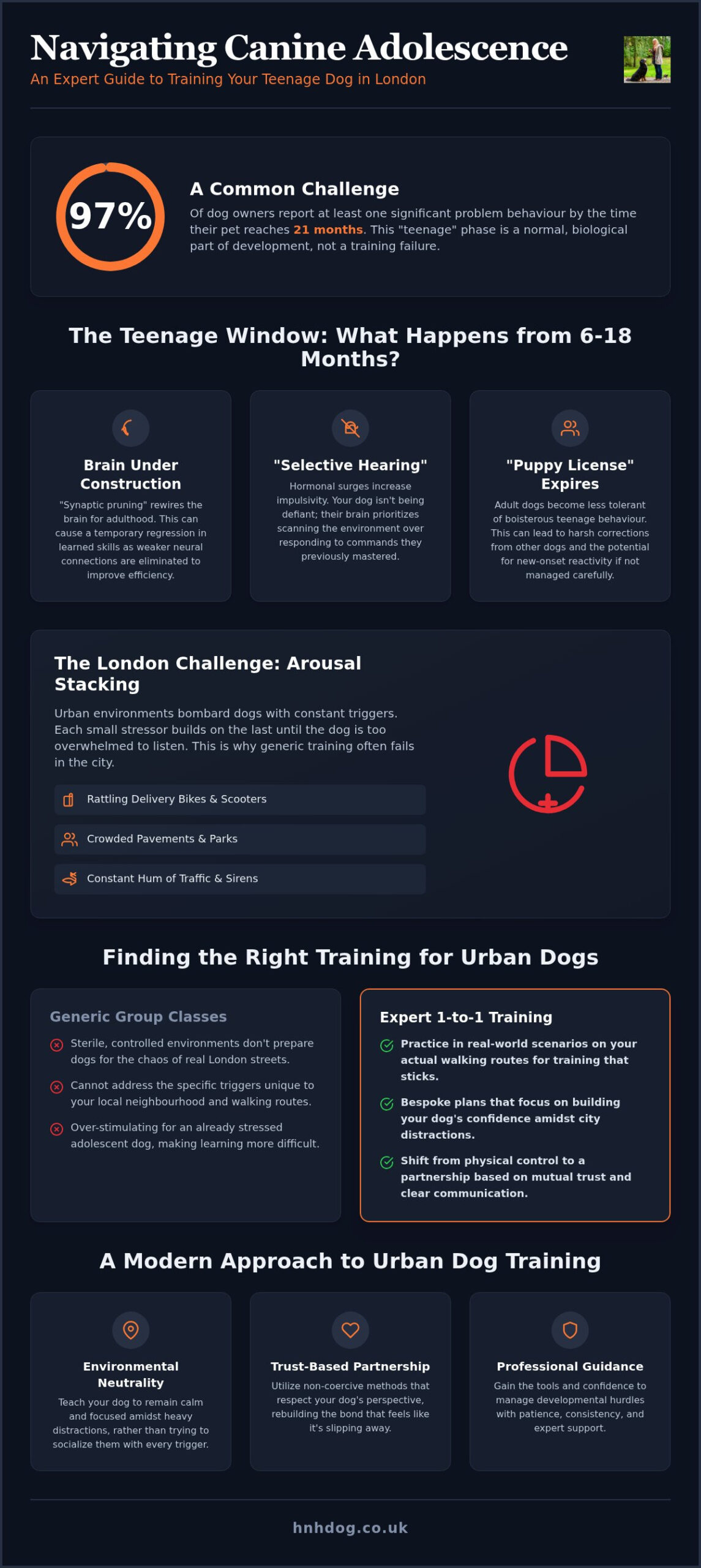 Adolescent Dog Training London: Navigating the Teenage Phase with Confidence