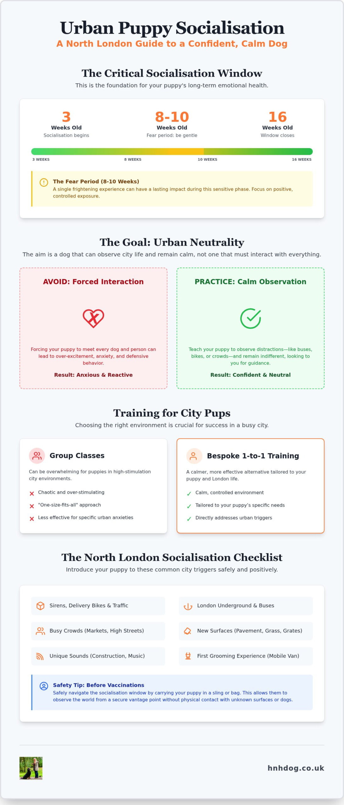 Puppy Socialisation in North London: A Complete Guide to Raising a Confident Urban Dog