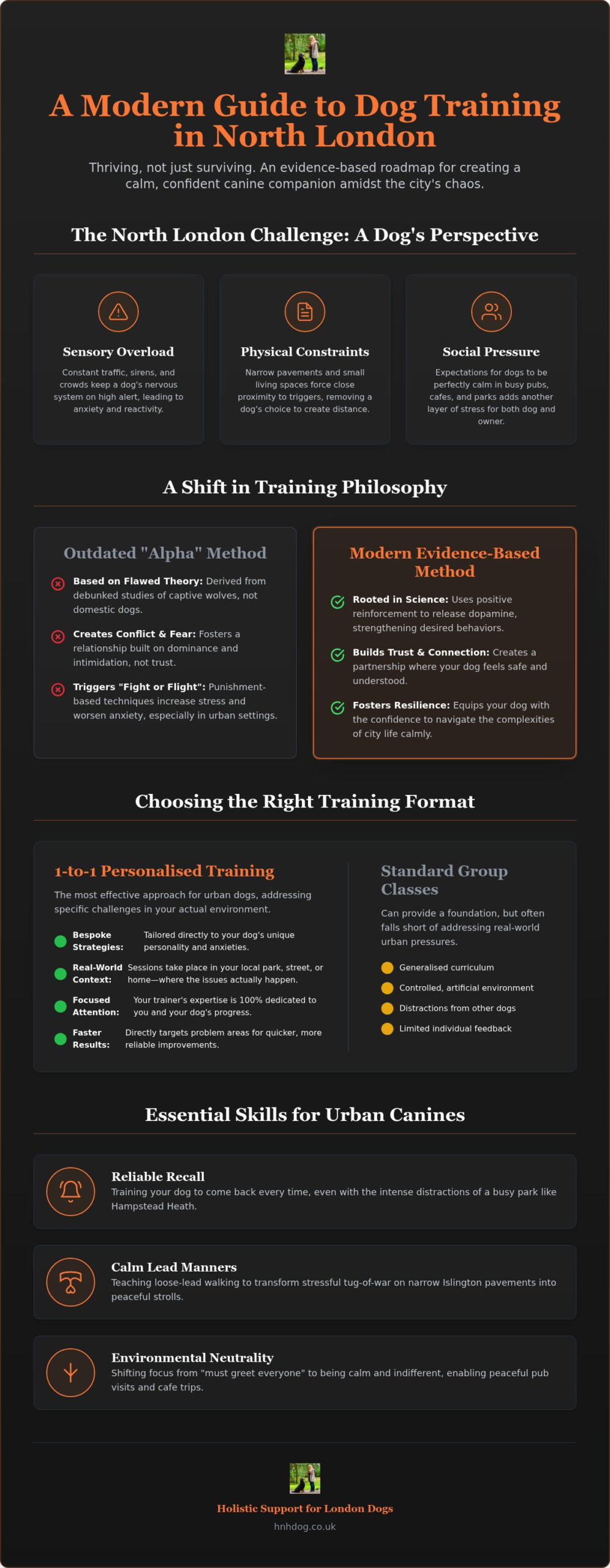 Dog Training in North London: The Expert Guide to Raising a Confident Urban Pup