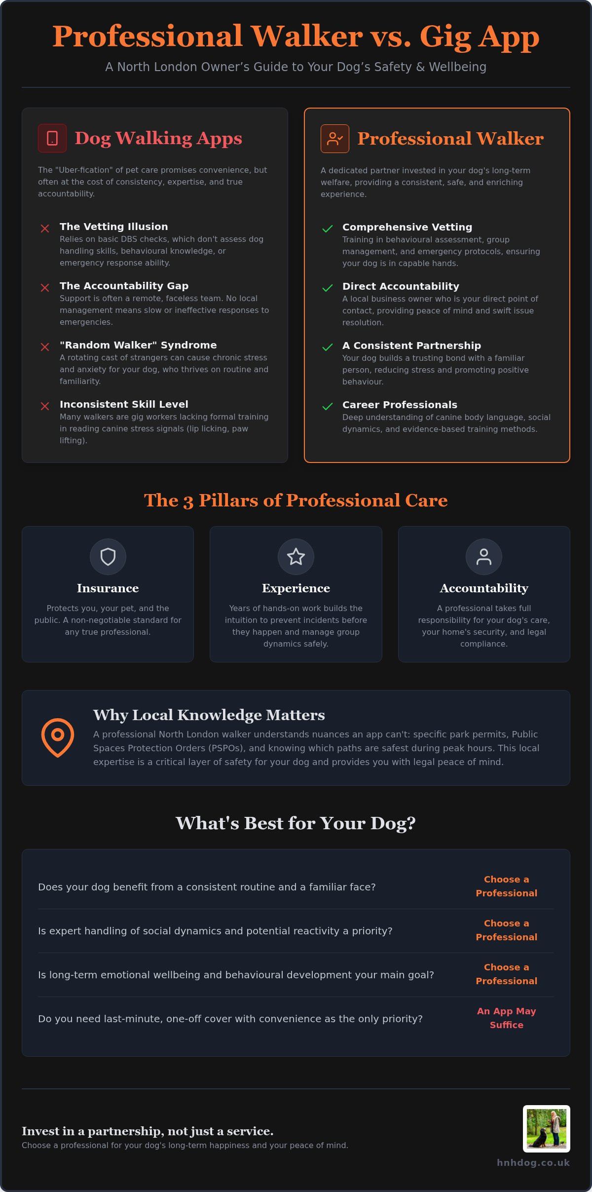 Professional Dog Walker vs Dog Walking App: Choosing the Best Care in North London