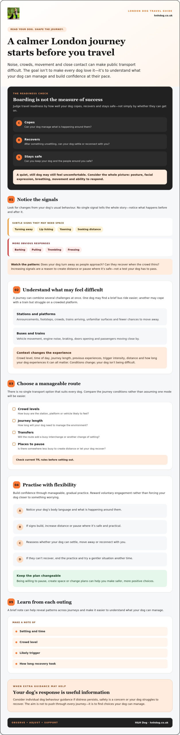 Managing Dog Behaviour on London Public Transport: A Calm, Practical Guide