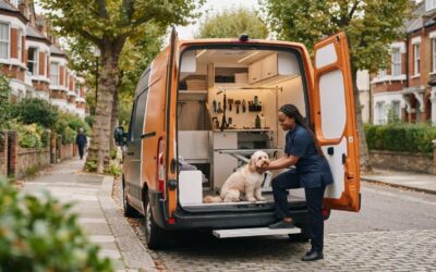 Mobile Dog Grooming in North West London: Is It for You?