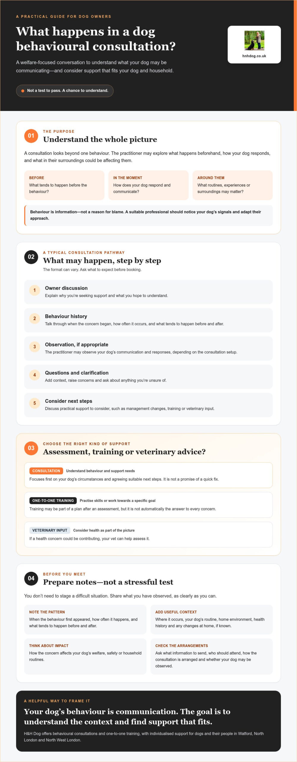 What Does a Dog Behavioural Consultation Involve? A Step-by-Step Guide