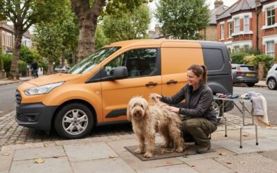 Mobile Dog Grooming for Matted Coats in London: A Guide